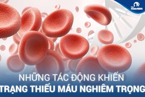 Ngưòi bị thiếu máu nên uống nước gì để phục hồi nhanh?