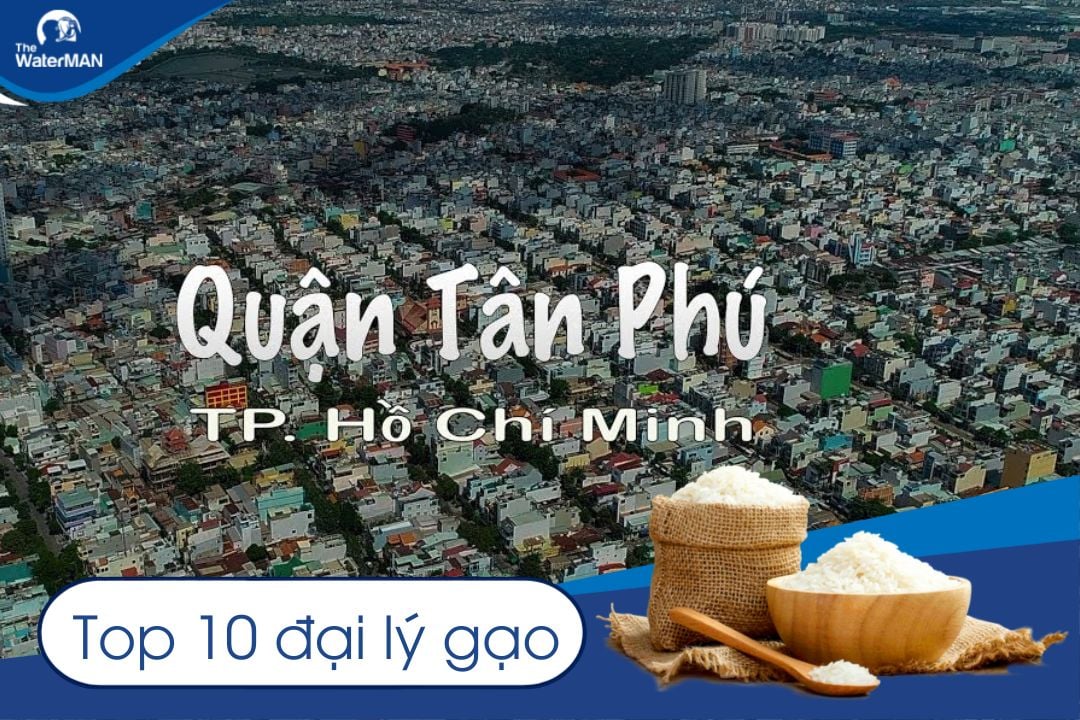 Top 10 đại lý gạo quận Tân Phú uy tín