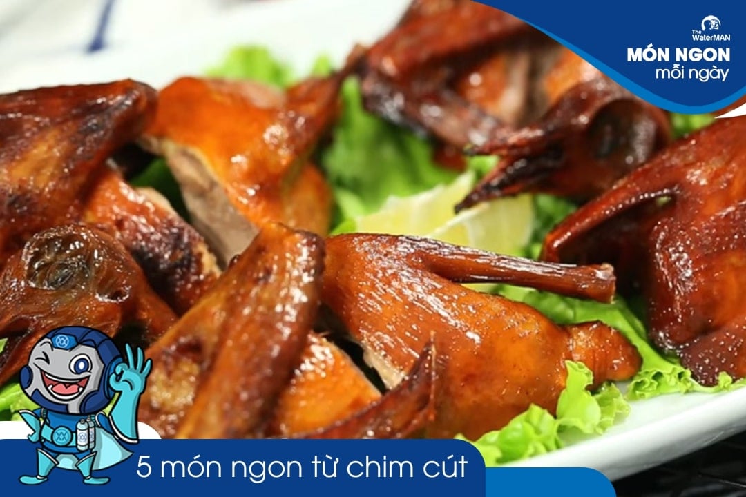 Tổng hợp 5 món ngon làm từ chim cút mà bạn không thể bỏ lỡ