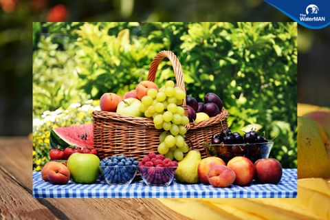 Khám phá những thực phẩm giàu nước giúp bổ sung độ ẩm cho cơ thể