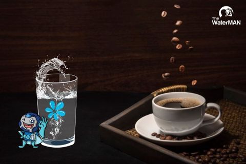 Tại sao bạn nên uống nước tinh khiết trước khi uống cafe hay trà?