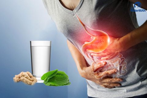 Top 5 thức uống giúp giảm đau dạ dày tức thì, nguyên liệu tìm cực dễ
