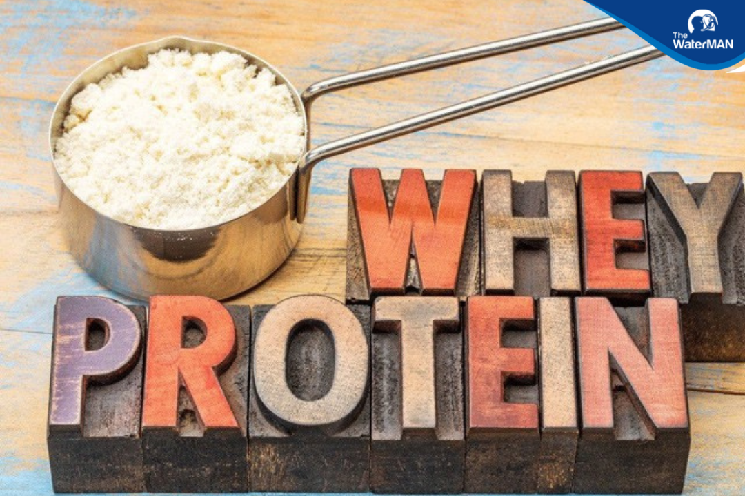 Whey protein - thứ không thể thiếu của một gymer
