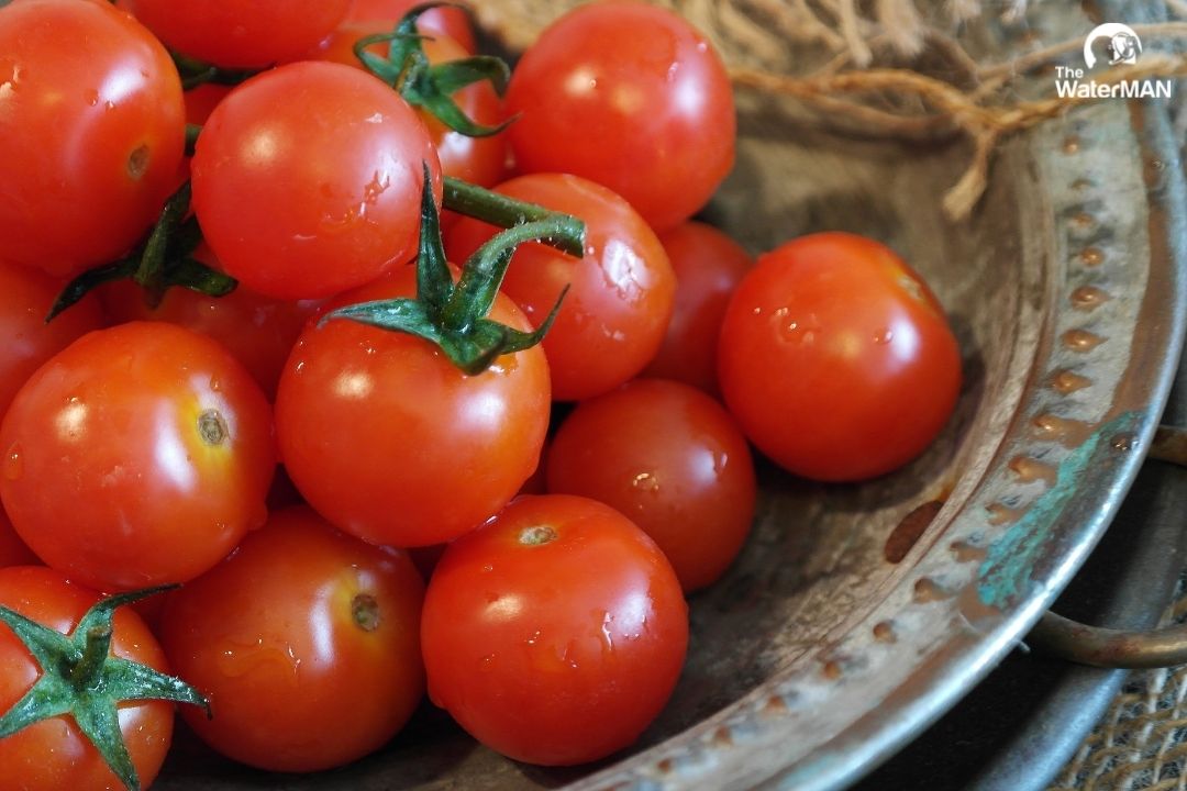 Khí lạnh trong tủ sẽ ngăn cản cà chua chín tiếp, đồng nghĩa với việc hương vị tươi ngon của cà chua sẽ ngừng phát triển