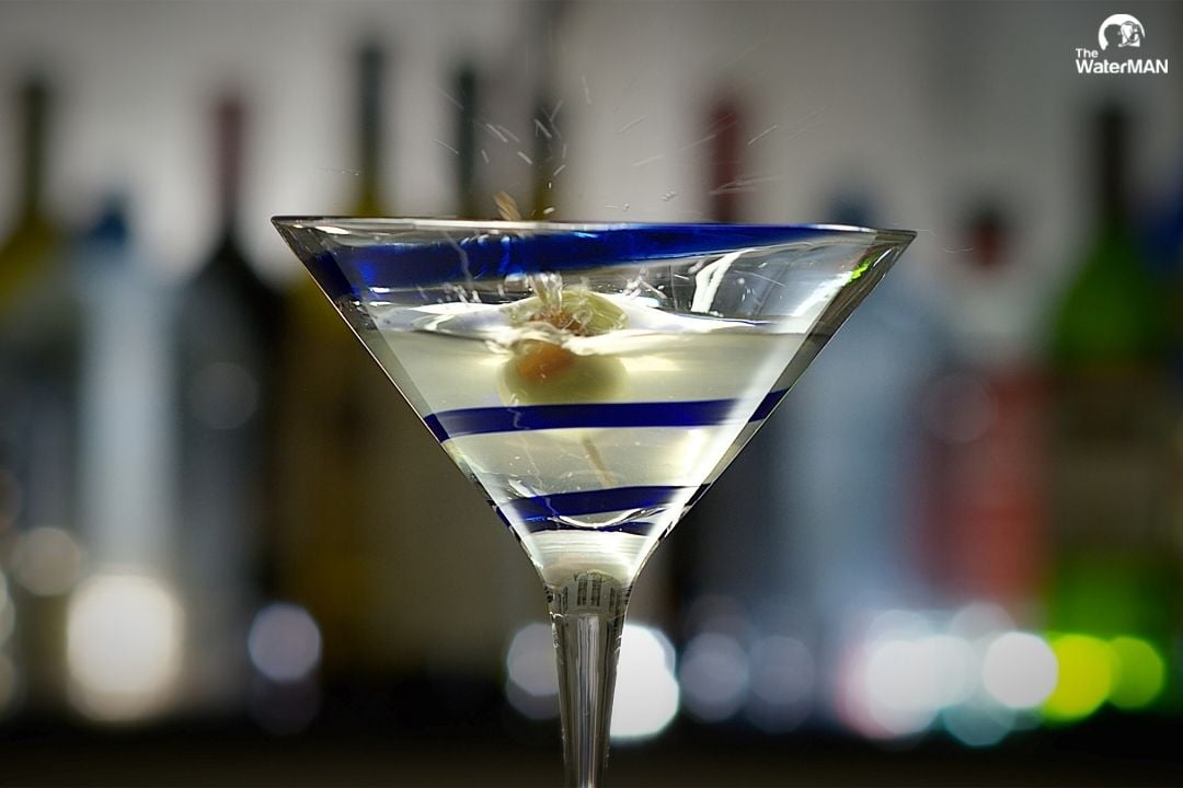 Cocktail Gin Martini