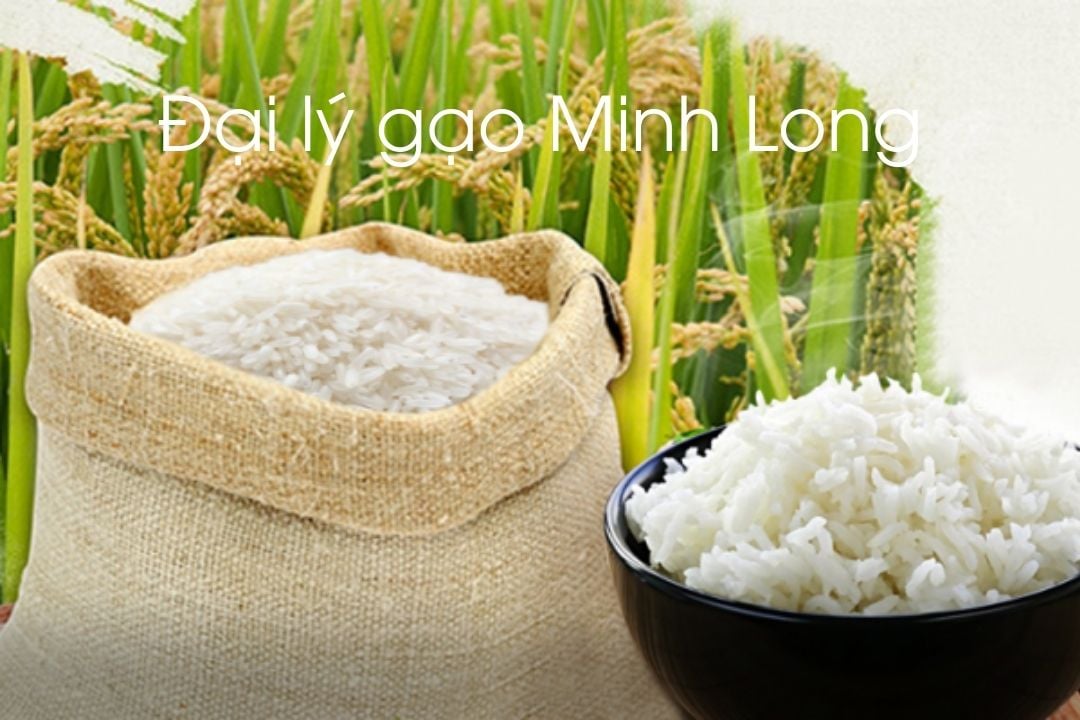 Đại lý gạo Minh Long