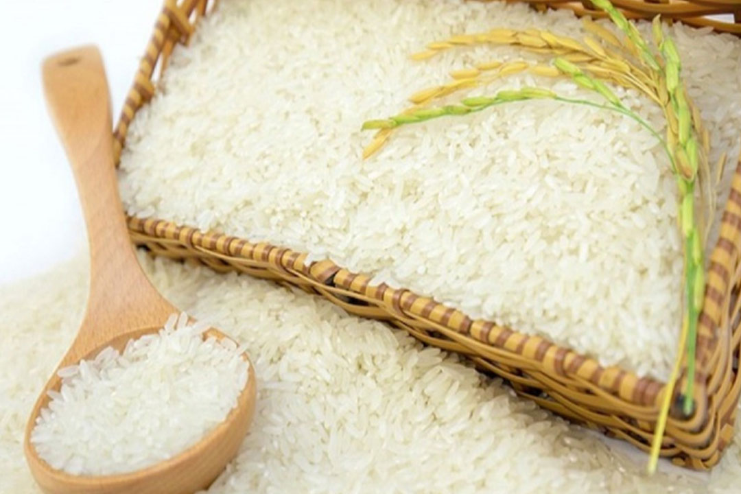 Đại lý gạo Ngọc Hân