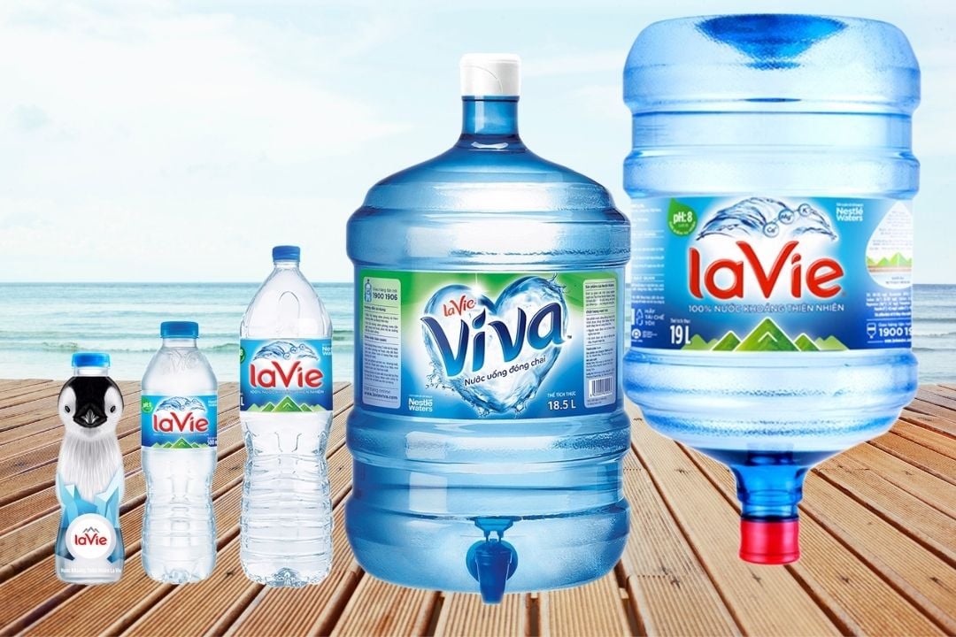 Đại lý Lavie Viva Hải Phòng