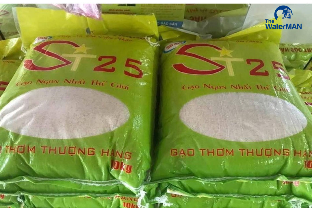 Gạo st25 chất lượng