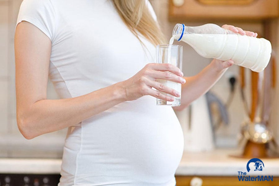 Ngoài sữa động vật, mẹ bầu có thể tự làm những loại sữa khác như sữa đậu nành, sữa bí đỏ...
