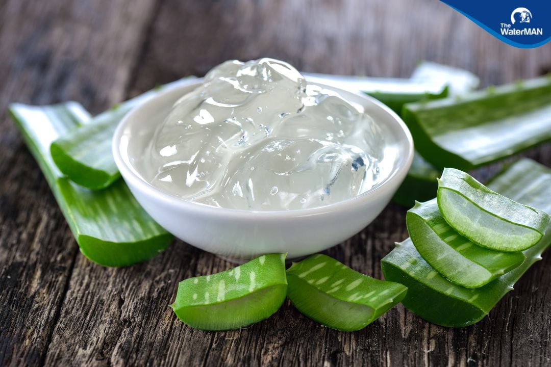 Chè nha đam truyền thống