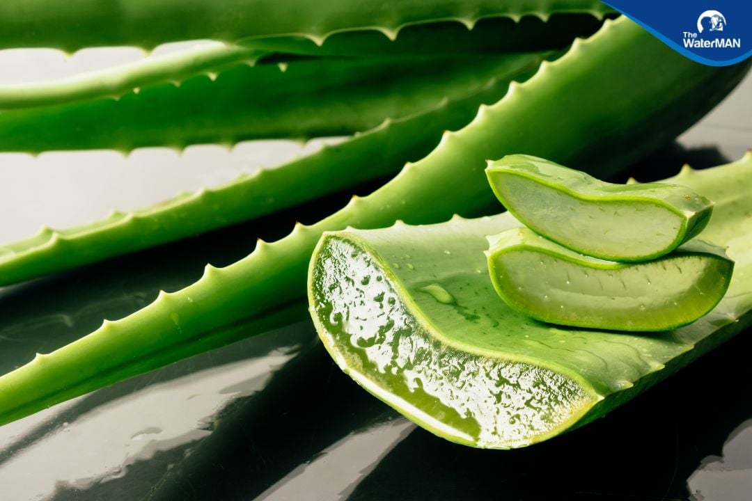Chè nha đam truyền thống