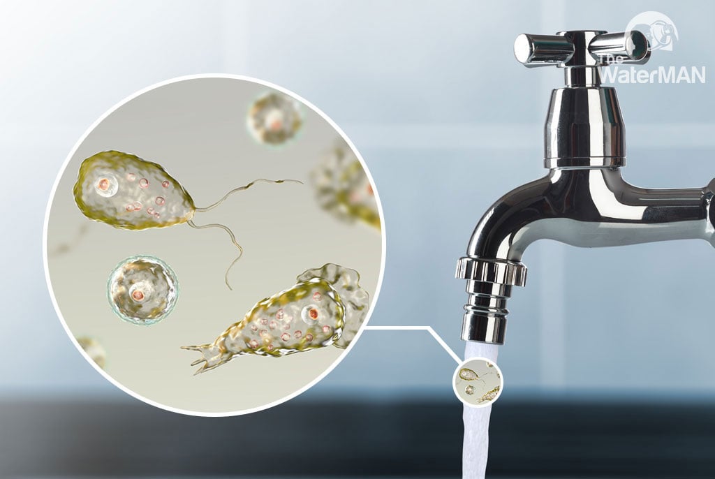 Nước máy nhiễm khuẩn từ nhiều nguồn khác nhau