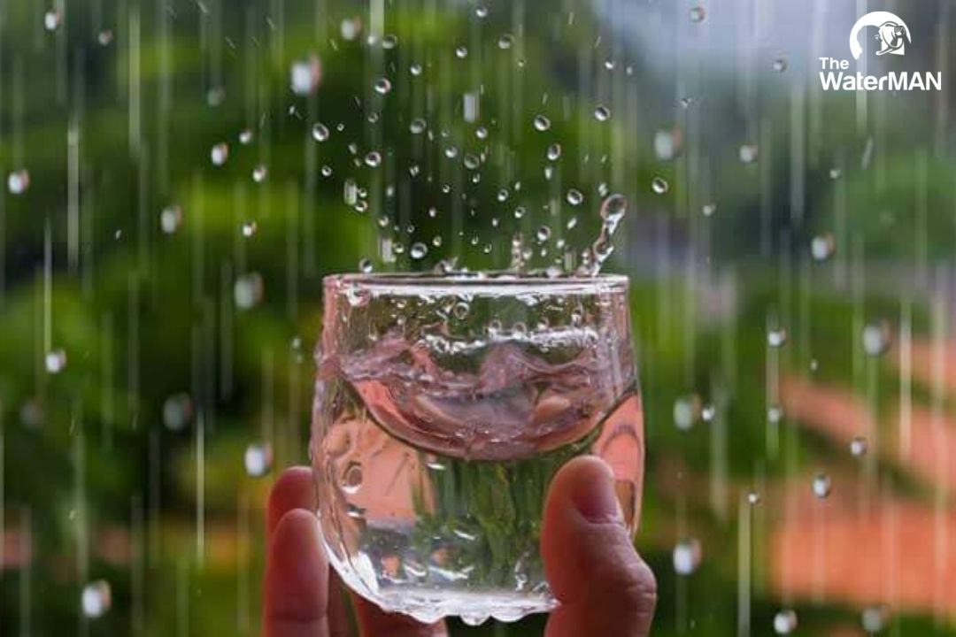 Nước mưa thường chứa những hợp chất gây hại cho cơ thể nên việc uống trực tiếp nguồn nước này hoàn toàn không nên