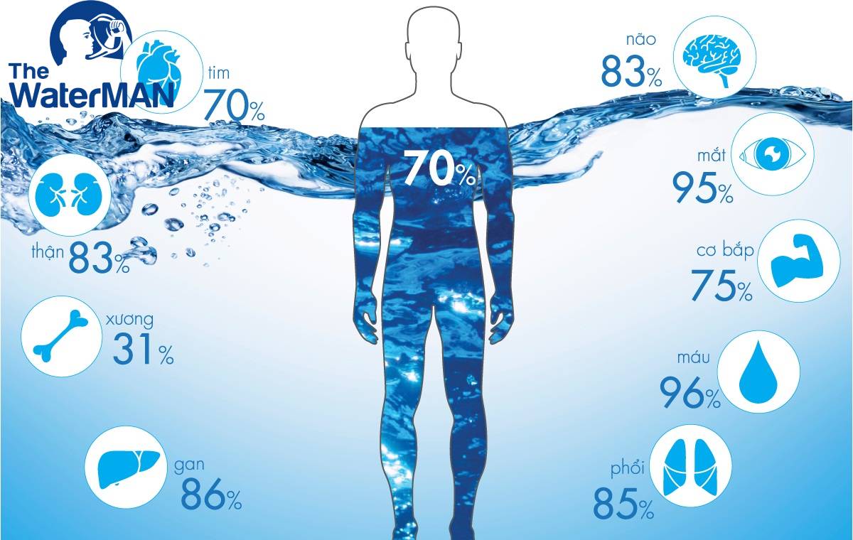 Vai trò của nước trong cơ thể