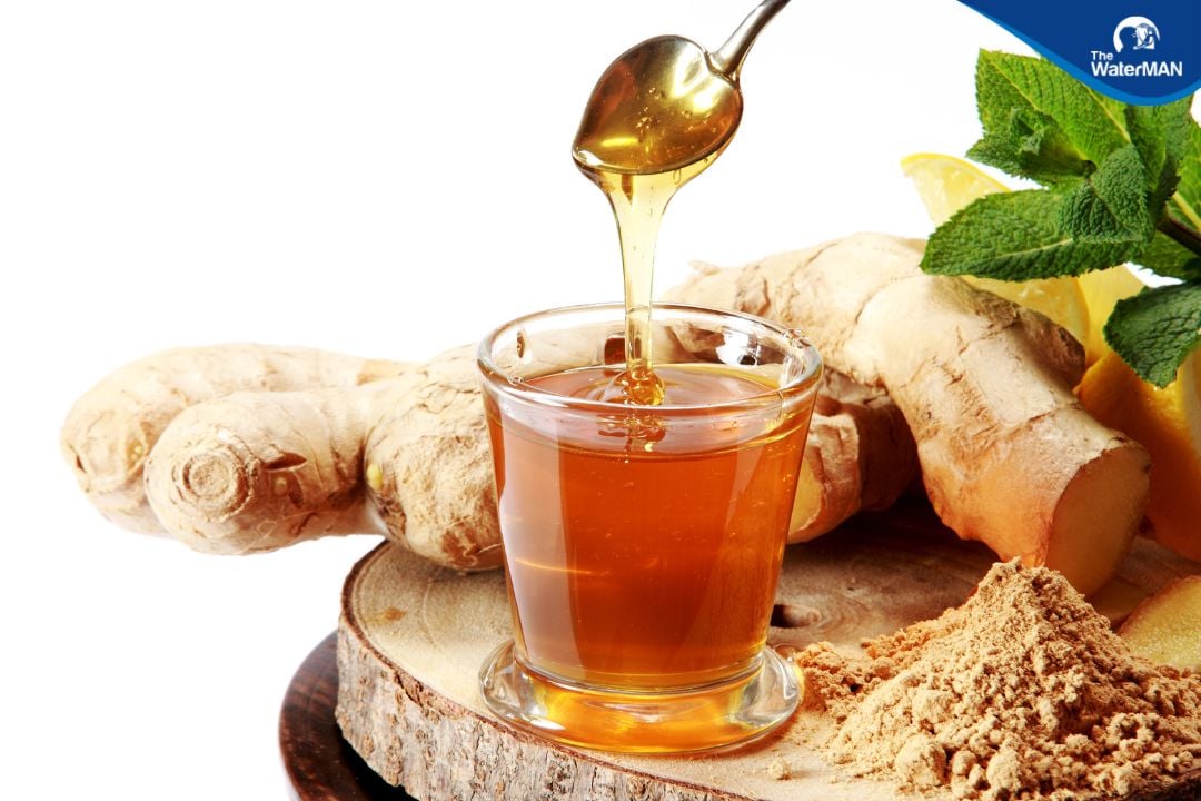 Nước tăng lực từ trà xanh và gừng