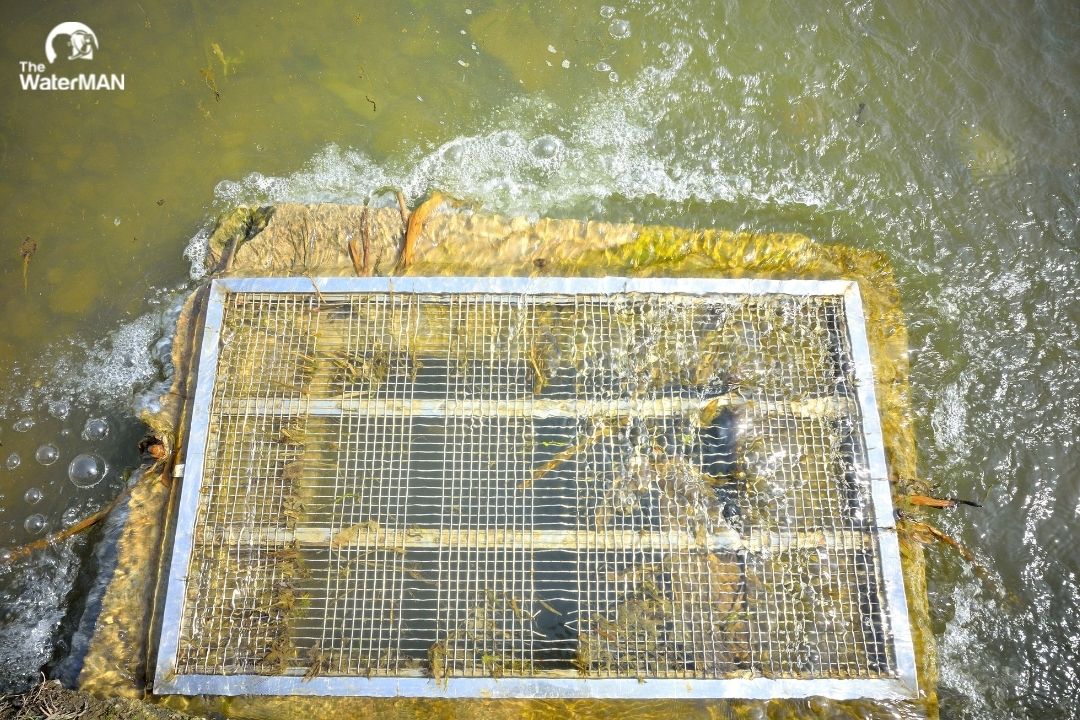 Nước thải chưa qua xử lý tại khu công nghiệp là nguyên nhân làm nước sinh hoạt nhiễm chì