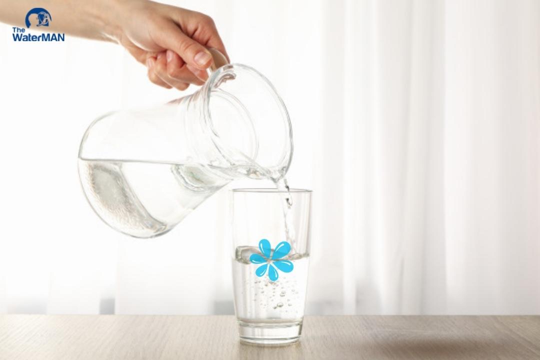 Nước tinh khiết không thể được thay thế bằng bất cứ loại nước nào khác