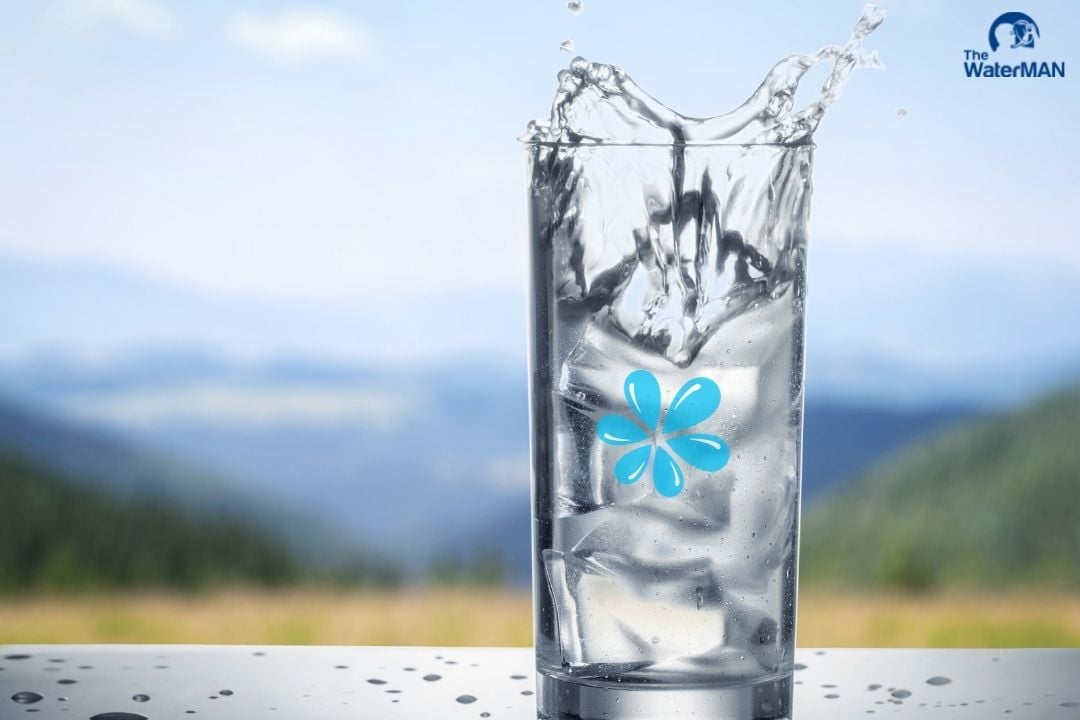 Nước tinh khiết là thành phần quan trọng trong quá trình tuần hoàn máu