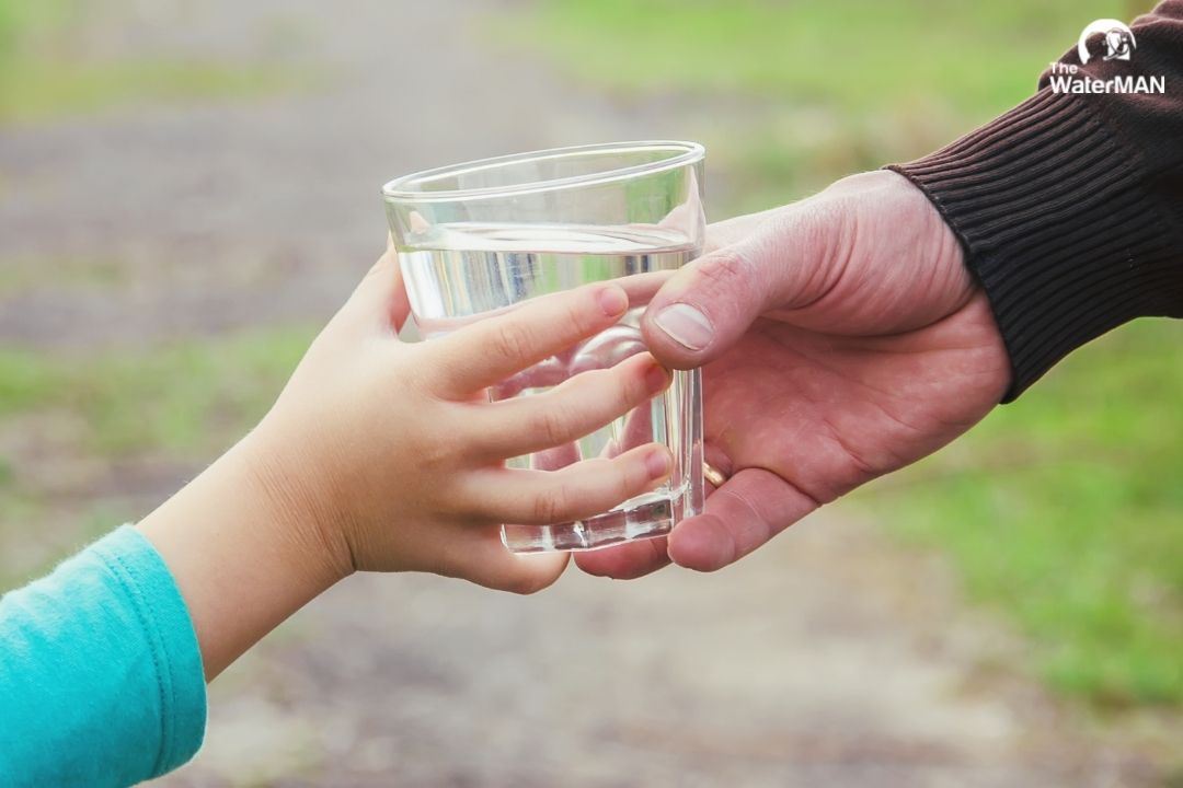 Nước uống đóng vai trò quan trọng trong quá trình phát triển của bé