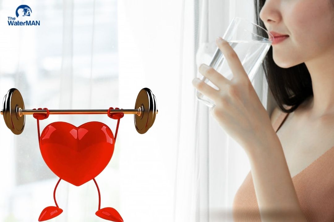 Nước uống đóng vai trò cực kì quan trọng đối với sức khỏe tim mạch