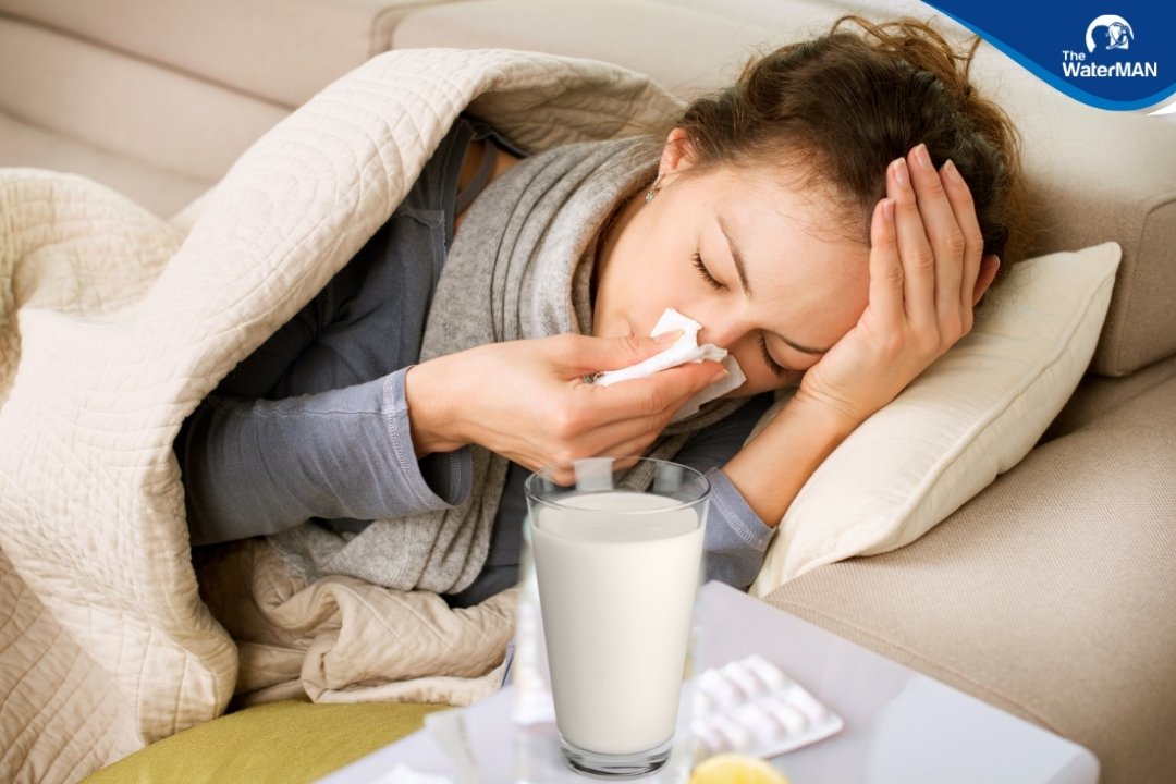 Sữa chứa dinh dưỡng có khả năng phục hồi sức khỏe khi cơ thể mệt mỏi