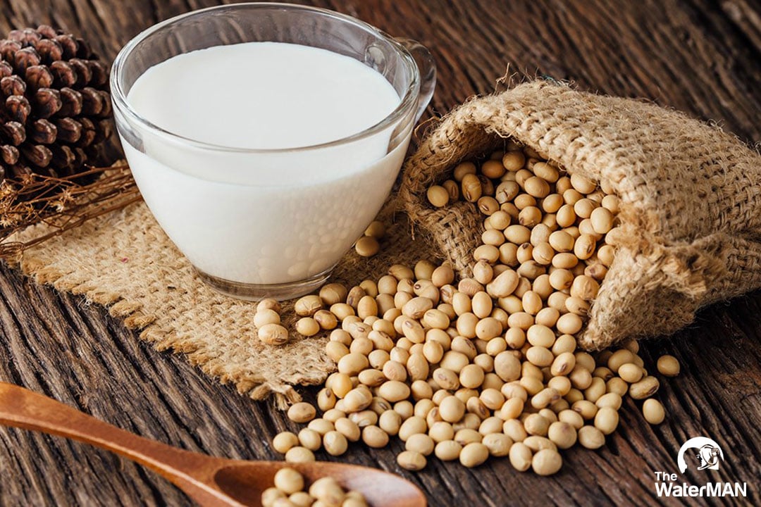 Sữa đậu nành sản sinh nhiều kháng khuẩn làm tăng hoạt động của hệ miễn dịch
