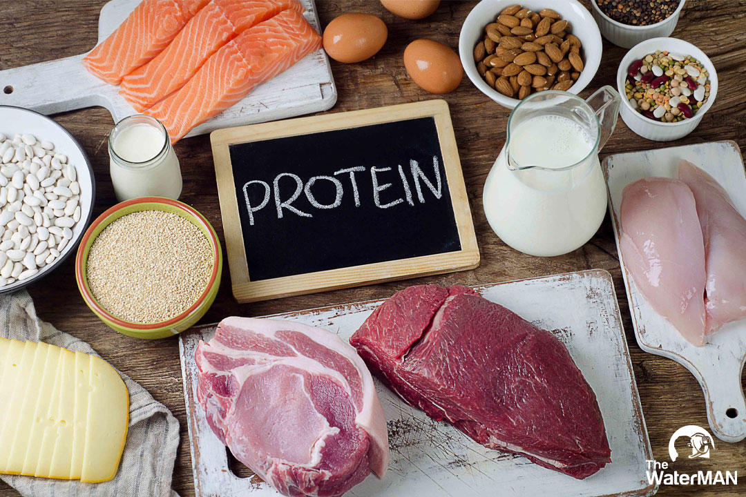 Protein là thành phần quan trọng cấu tạo nên cơ bắp, cải thiện vóc dáng gầy gò hiệu quả