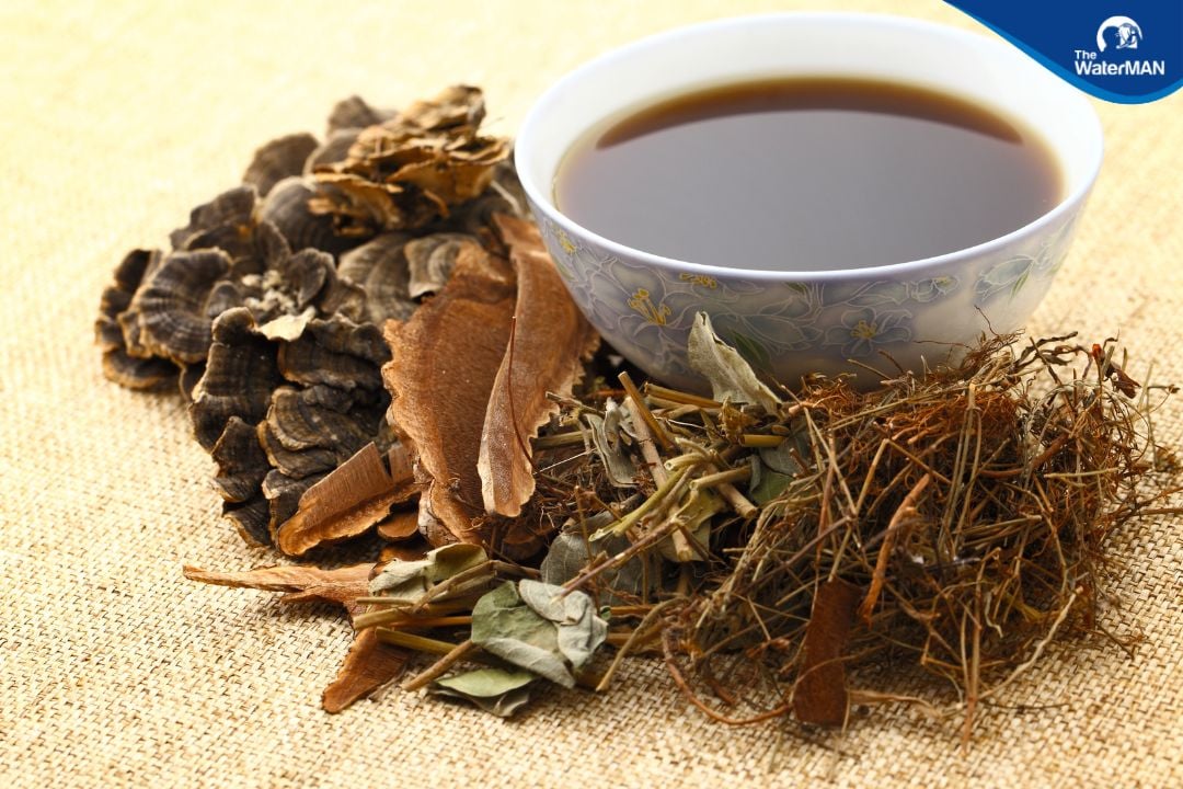 Dùng nước để sắc thuốc bắc