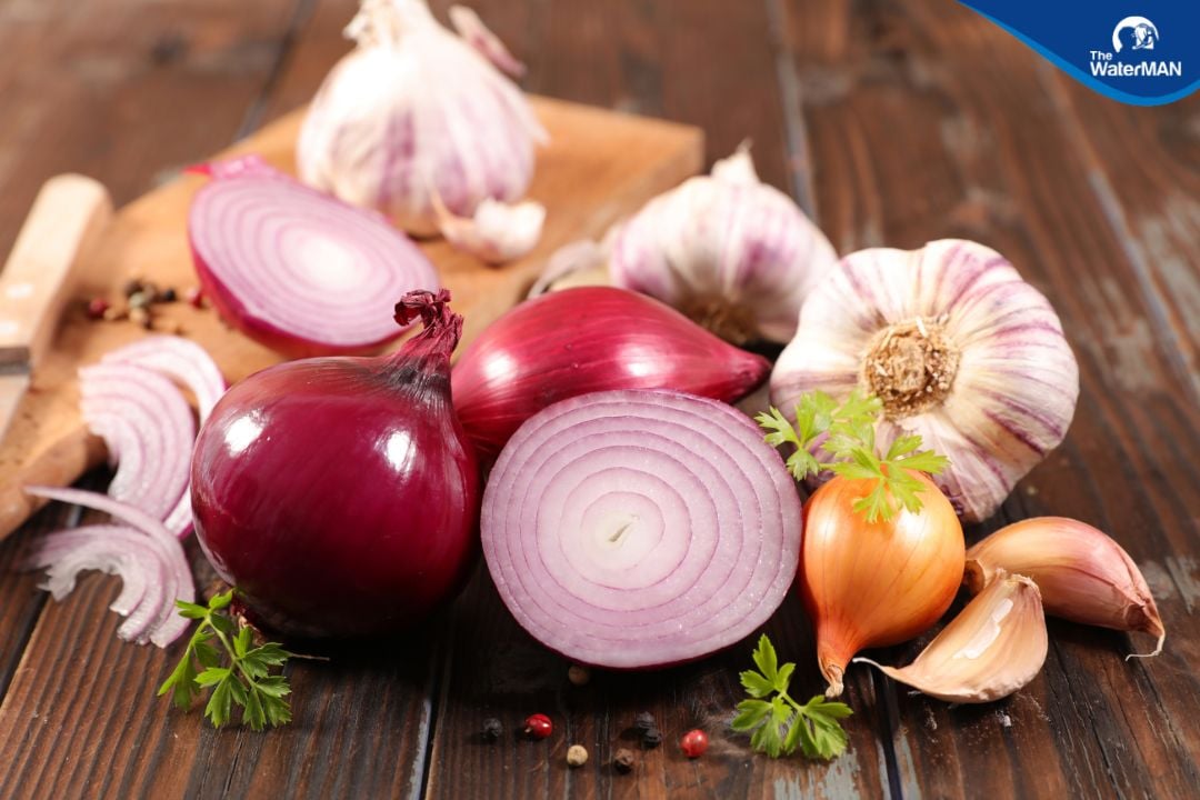 Tỏi là gia vị phổ biến trong mọi gia đình