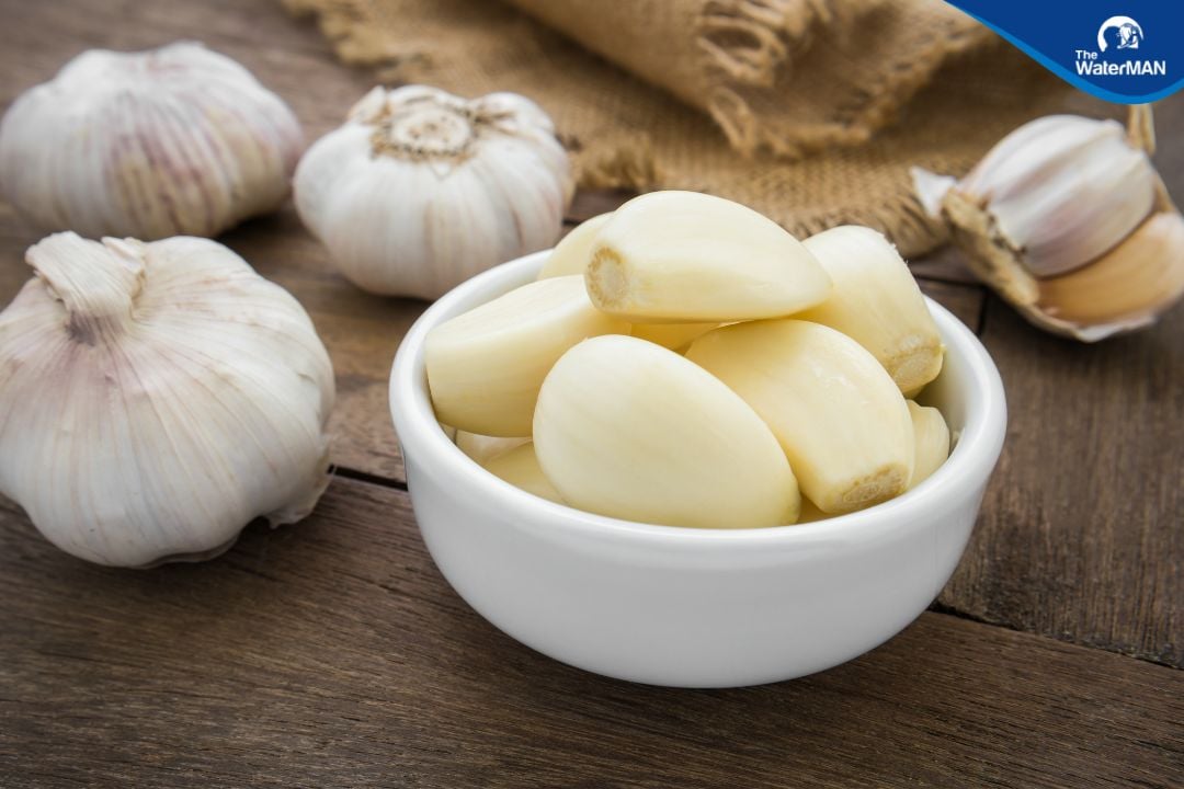 Tỏi không nên ăn chung với trứng gà