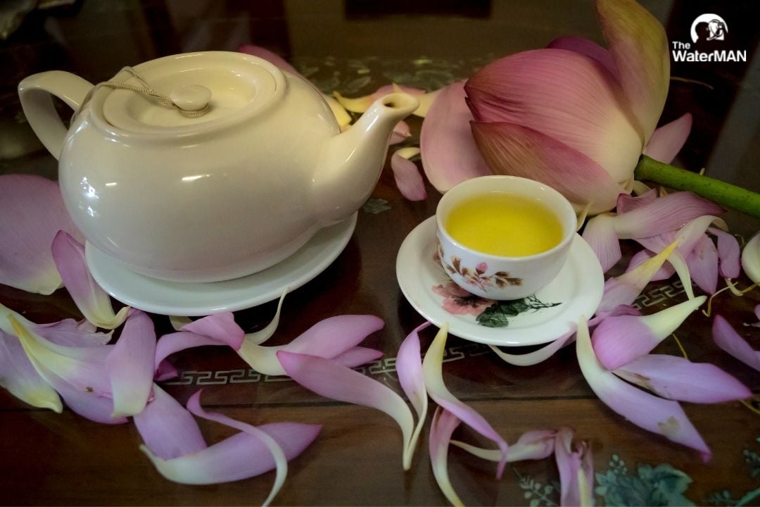 Ủ trà xanh hay nấu trà xanh cũng tương tự khi thực hiện những loại trà khác mà thôi
