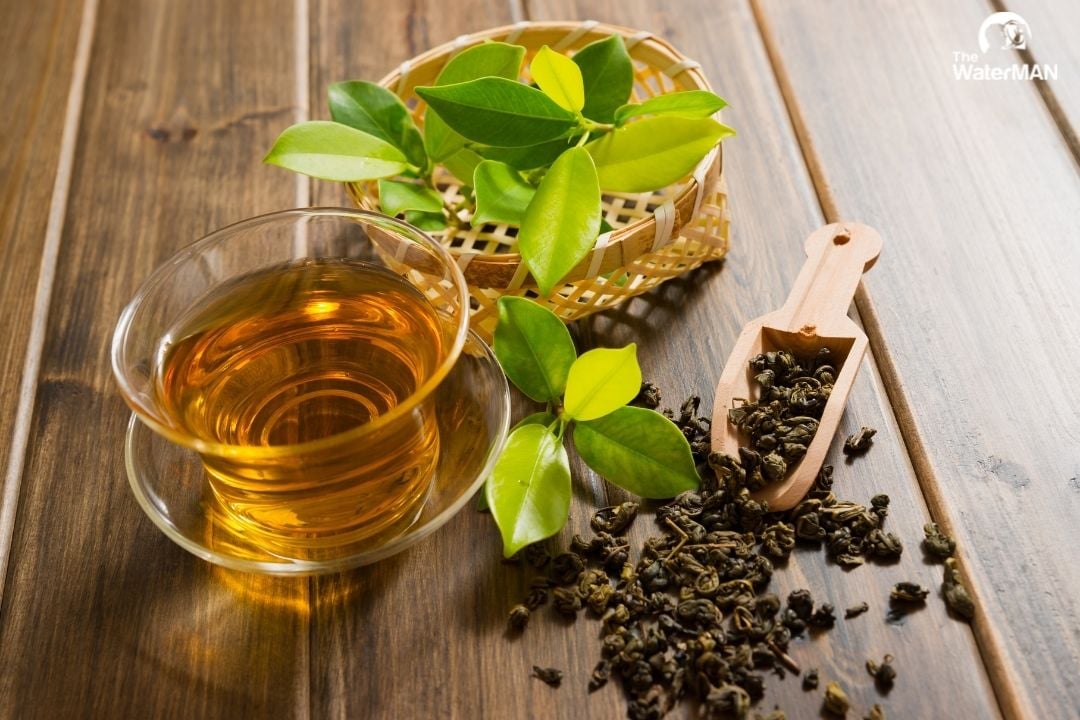 Uống trà mỗi ngày có thể ngăn ngừa nhiễm trùng đường tiểu
