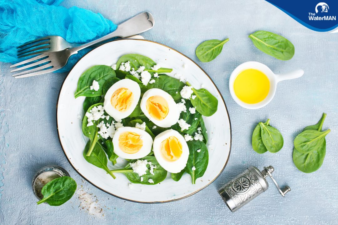 Trứng giúp no lâu là vì có chứa nhiều protein