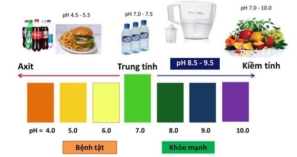 Các mức đánh giá chỉ số pH theo màu sắc