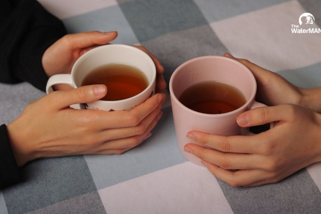Uống trà đinh lăng giúp bạn thư giãn, tinh thần dễ chịu hơn