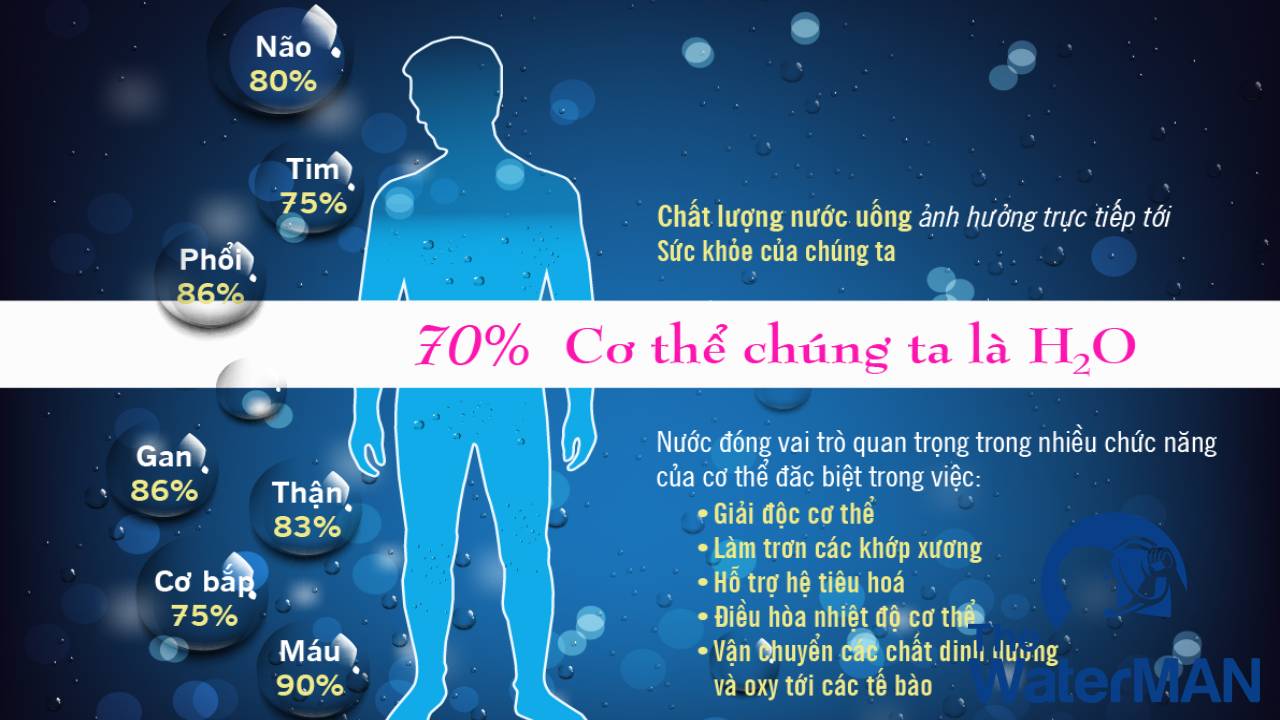 Vai trò của nước 