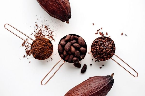 Công dụng của bột cacao và cách sử dụng hiệu quả nhất