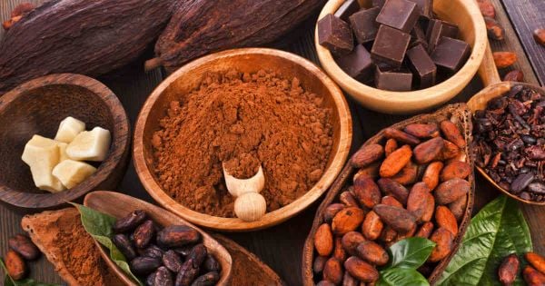 How to grow a cacao tree in a hurry | Science News for Students