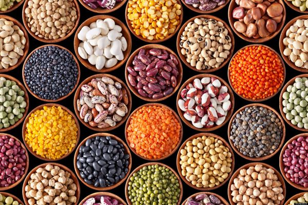 15 loại thực phẩm trị táo bón hiệu quả 2 Chữa táo bón bằng các loại đậu