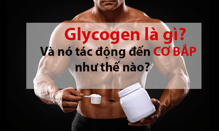 GLYCOGEN QUAN TRỌNG NHƯ THẾ NÀO TRONG LUYỆN TẬP THỂ THAO?