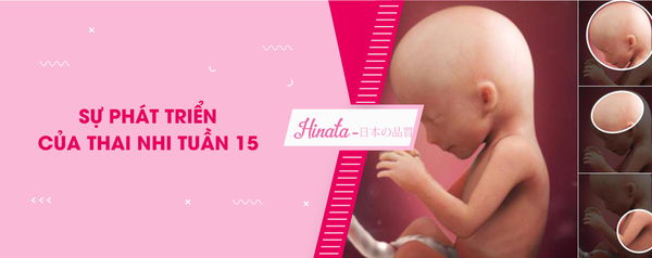 Thai Nhi Tuần 15 - Những Thay Đổi Thể Trạng Của Mẹ Và Thai Nhi