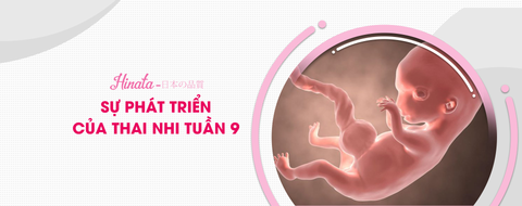 Thai Nhi Tuần 19 - Những Thay Đổi Thể Trạng Của Mẹ Và Thai Nhi