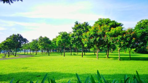 Hà Nội - Công viên Yên Sở