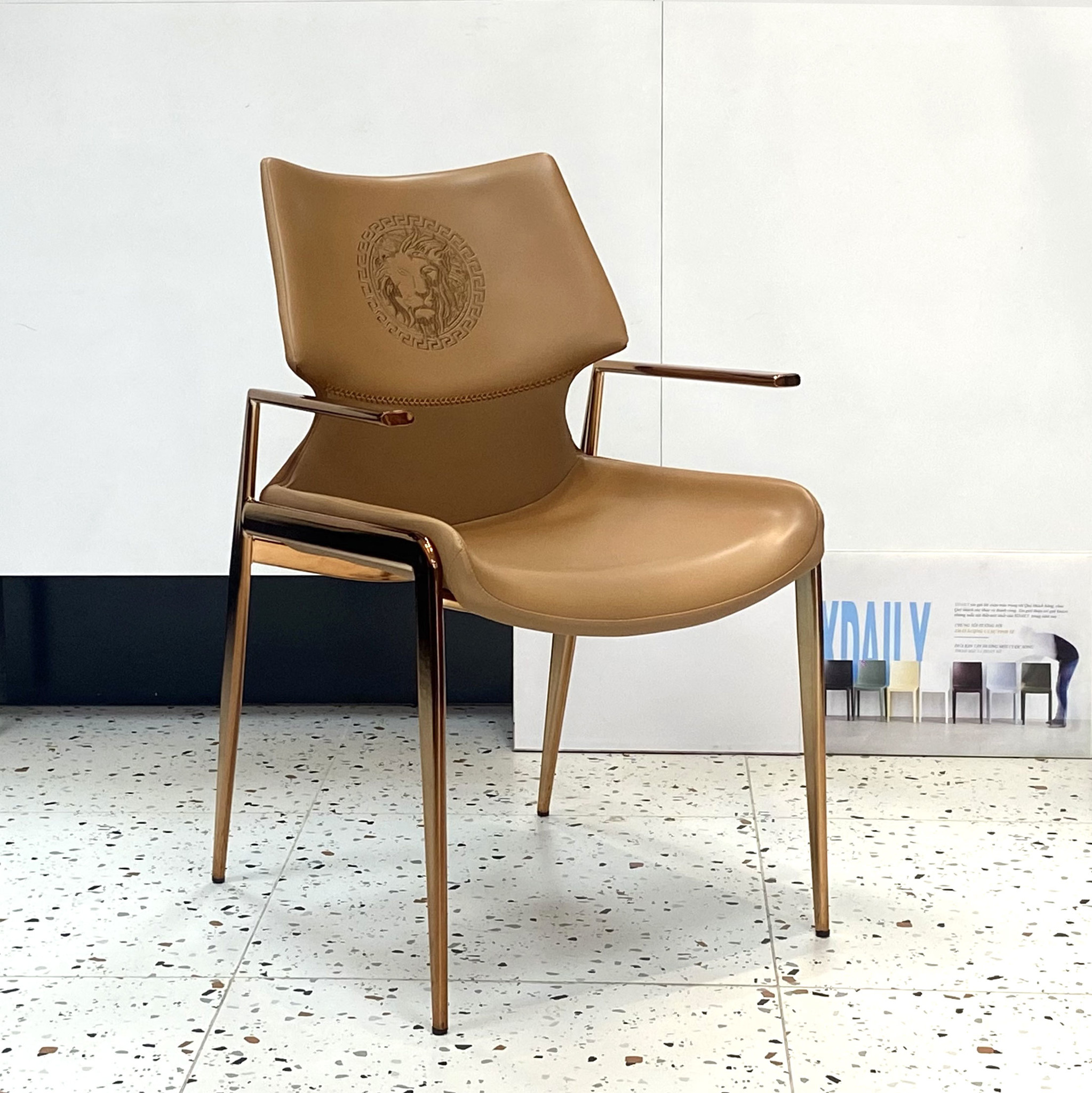 ghế-ăn-xdaily-apolo-chair