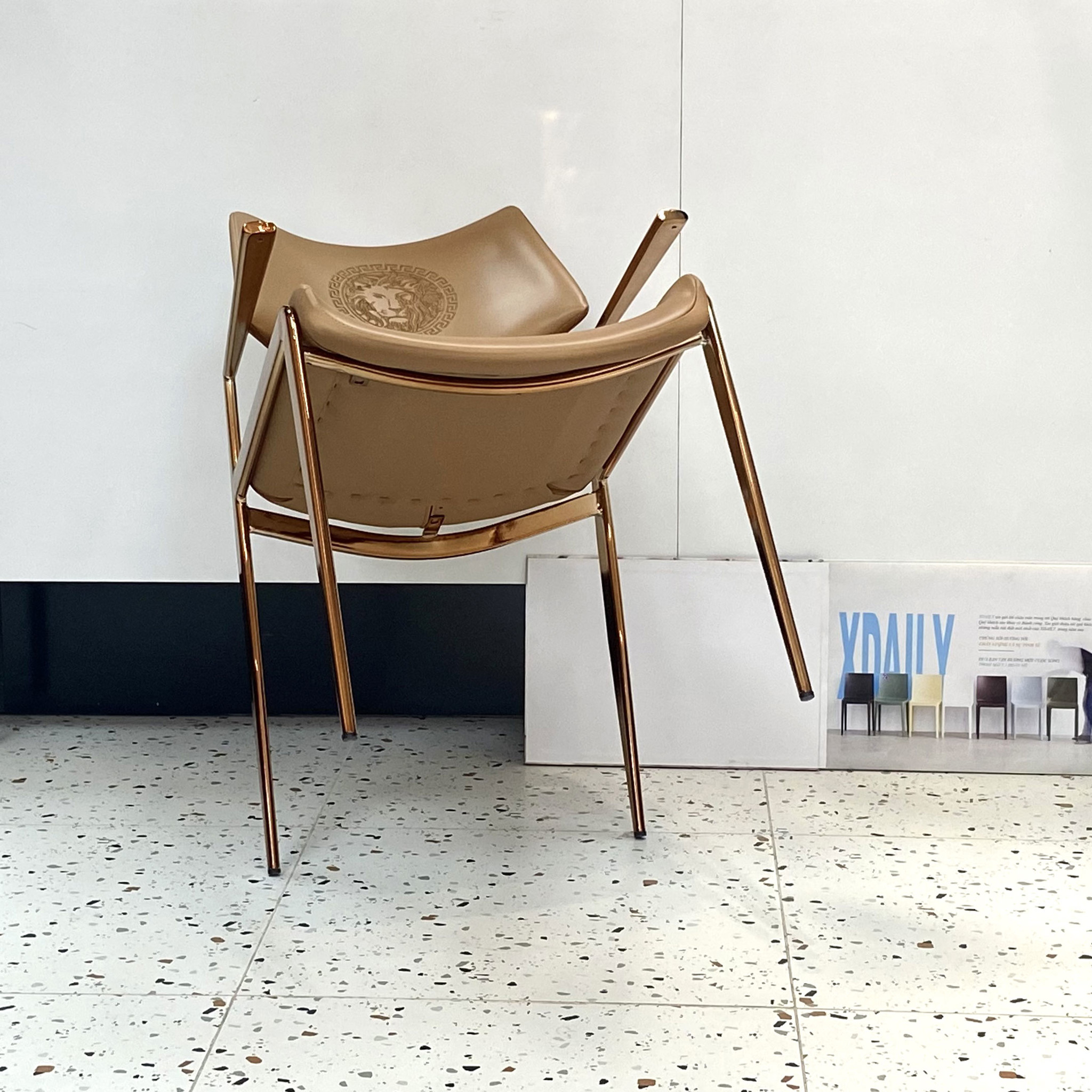 ghế-ăn-xdaily-apolo-chair