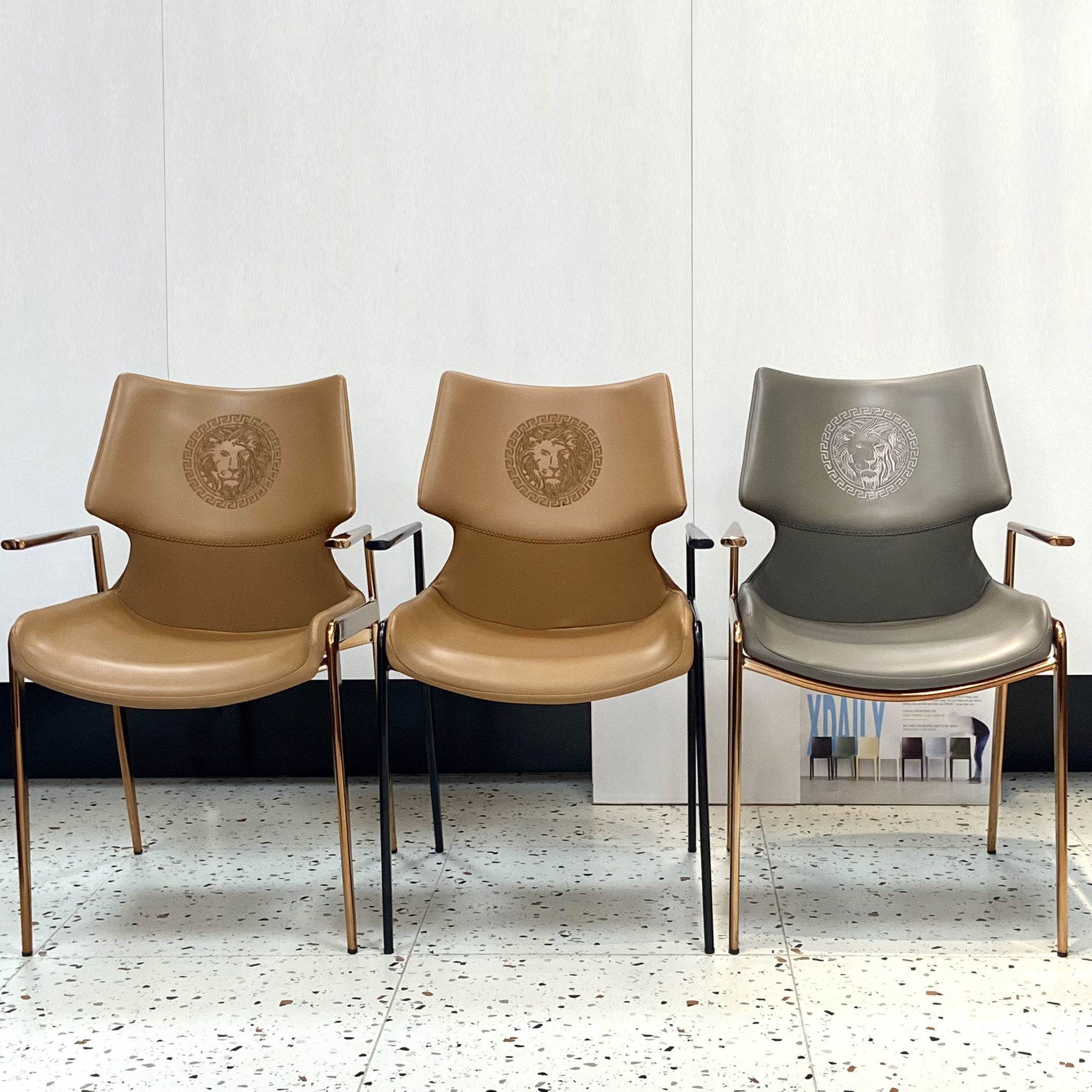 ghế-ăn-xdaily-apolo-chair