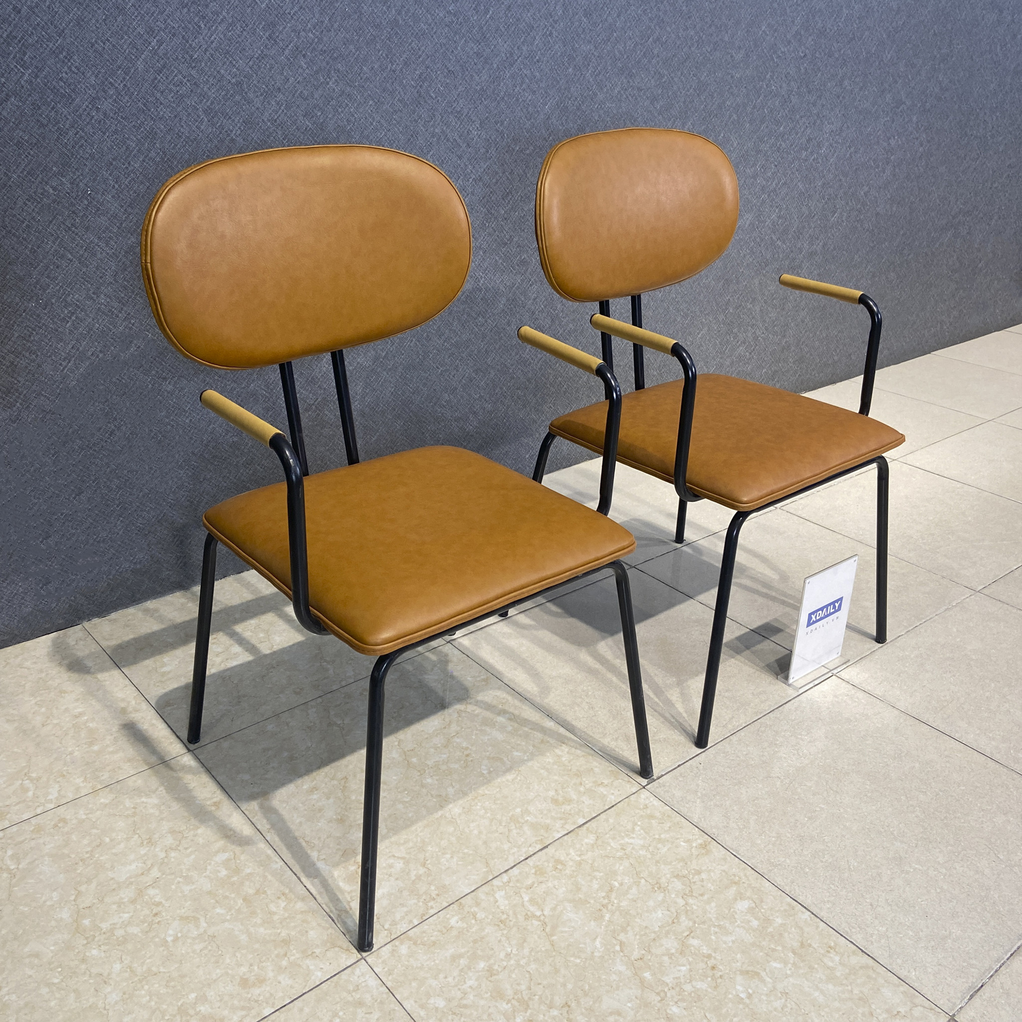 Ghế ăn XDAILY Neon chair