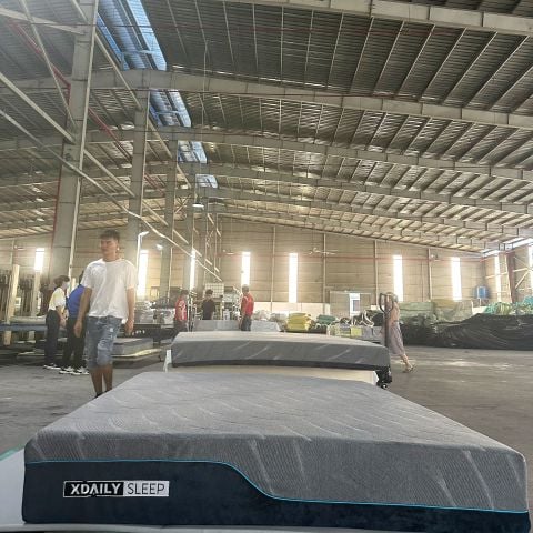 giường-ngủ-xdaily-bed