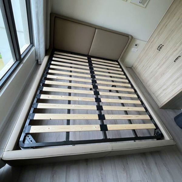 giường ngủ xdaily